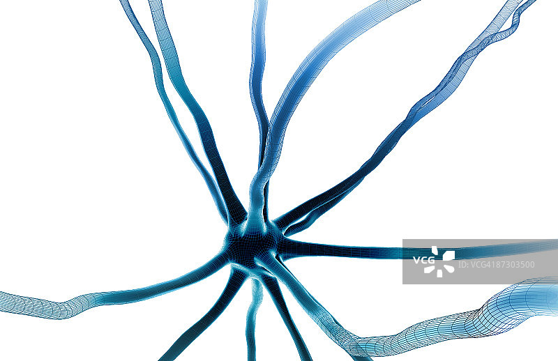 神经元图片素材