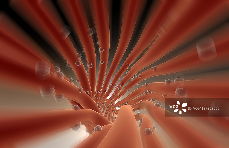 神经纤维图片素材