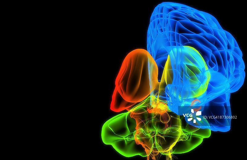 大脑图片素材