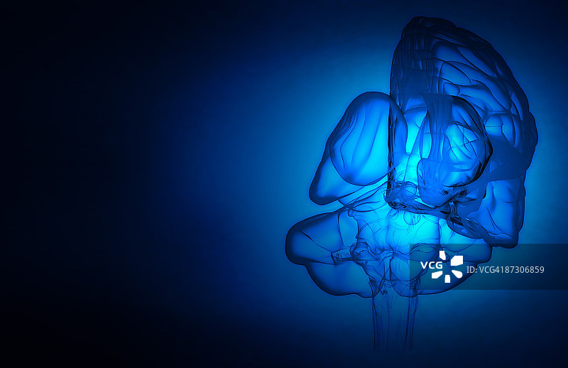 大脑图片素材