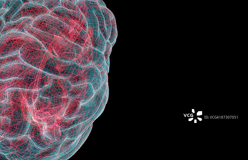 大脑图片素材