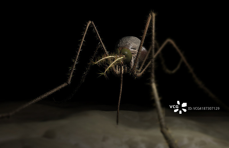 蚊虫叮咬图片素材