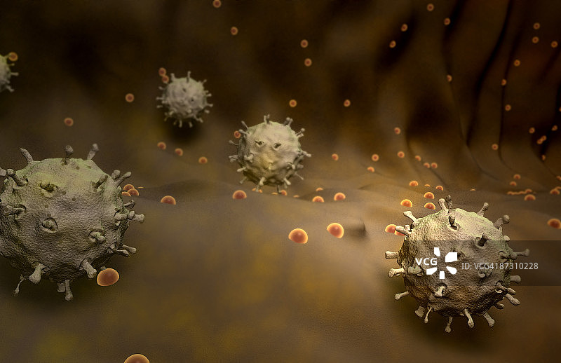 禽流感图片素材