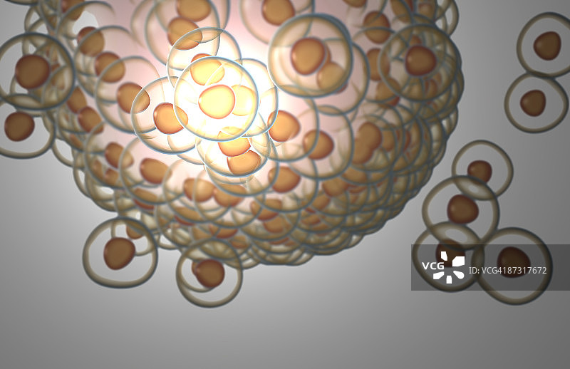 卵子图片素材
