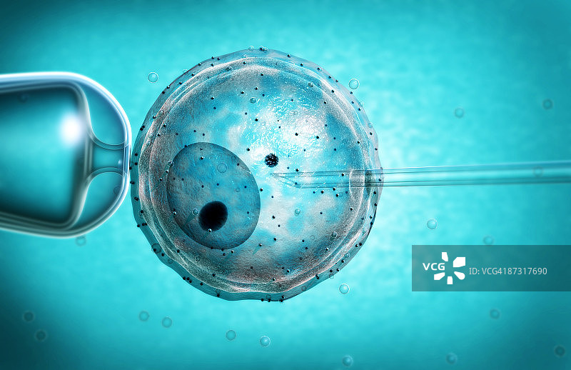 试管婴儿图片素材