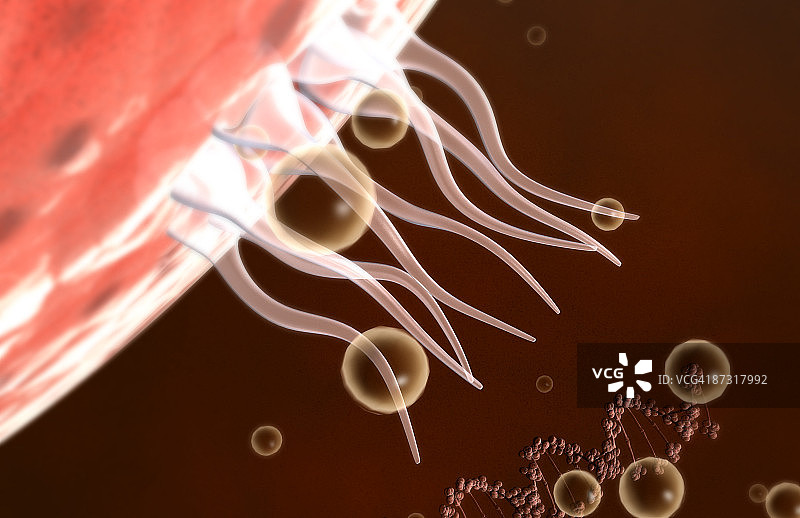 艾滋病毒DNA图片素材