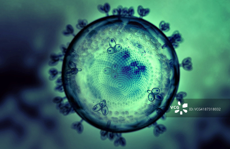 艾滋病毒的结构图片素材