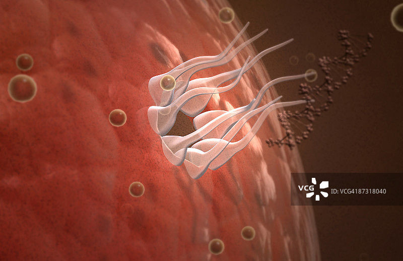 艾滋病毒DNA图片素材