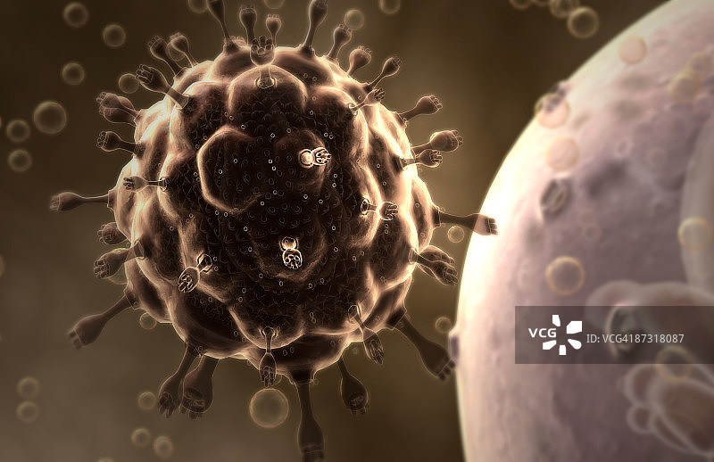 艾滋病病毒图片素材