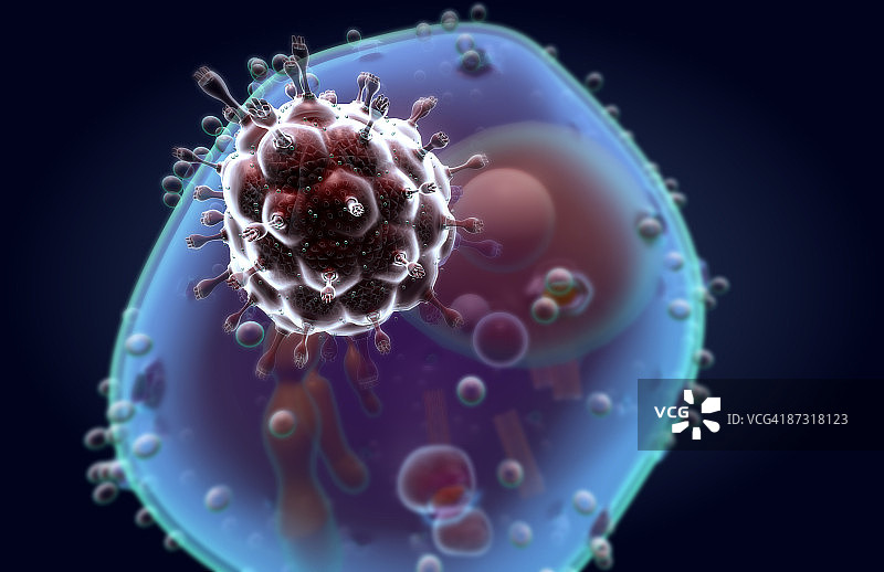 HIV吸附图片素材
