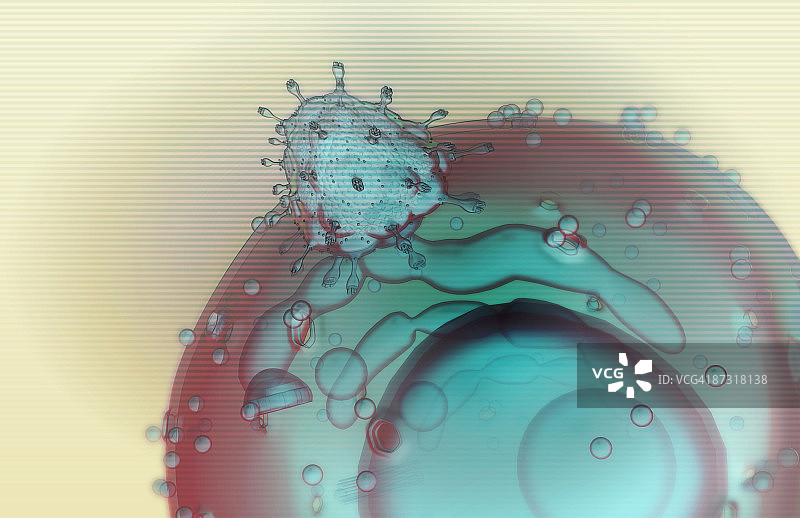 HIV吸附图片素材