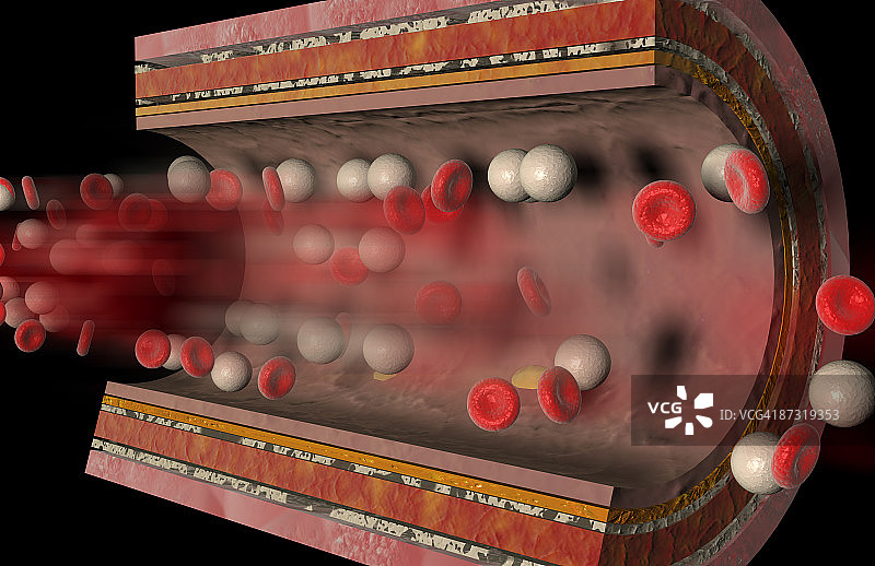动脉壁图片素材