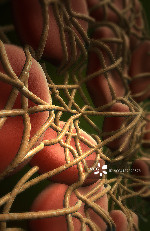 血凝块图片素材