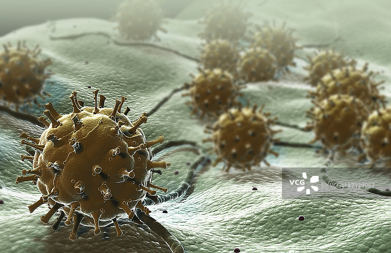 病毒图片素材