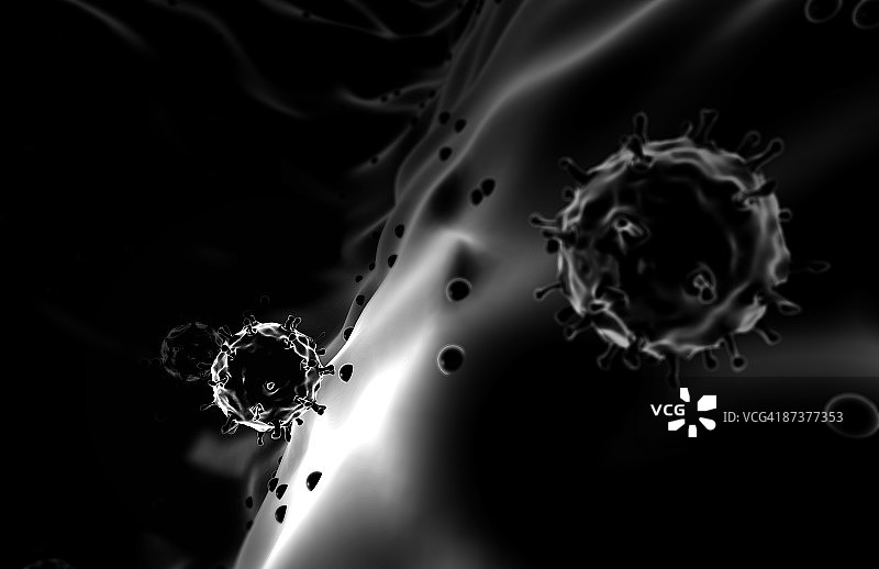 禽流感图片素材