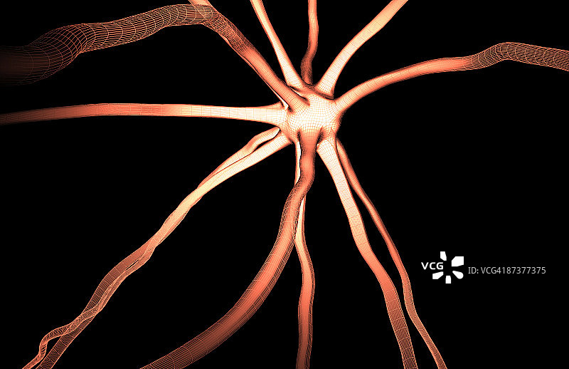 神经元图片素材