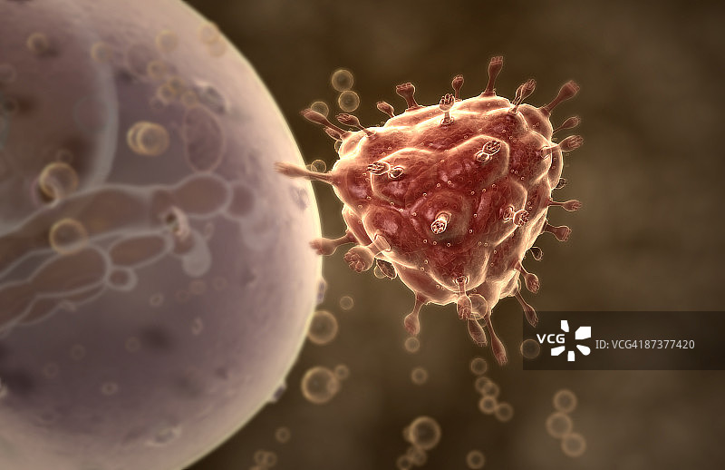 HIV吸附图片素材