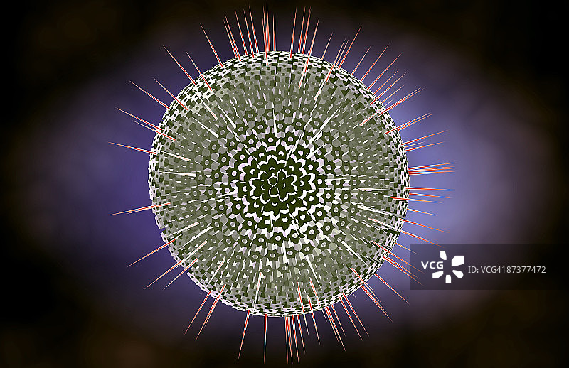 疱疹病毒结构图片素材