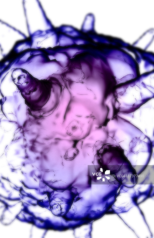 疱疹病毒图片素材