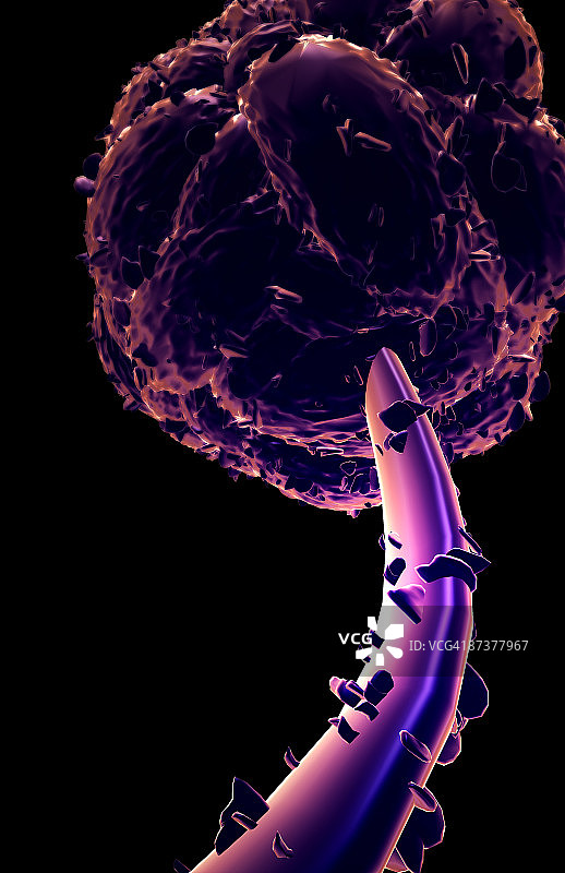 葡萄穗霉图片素材