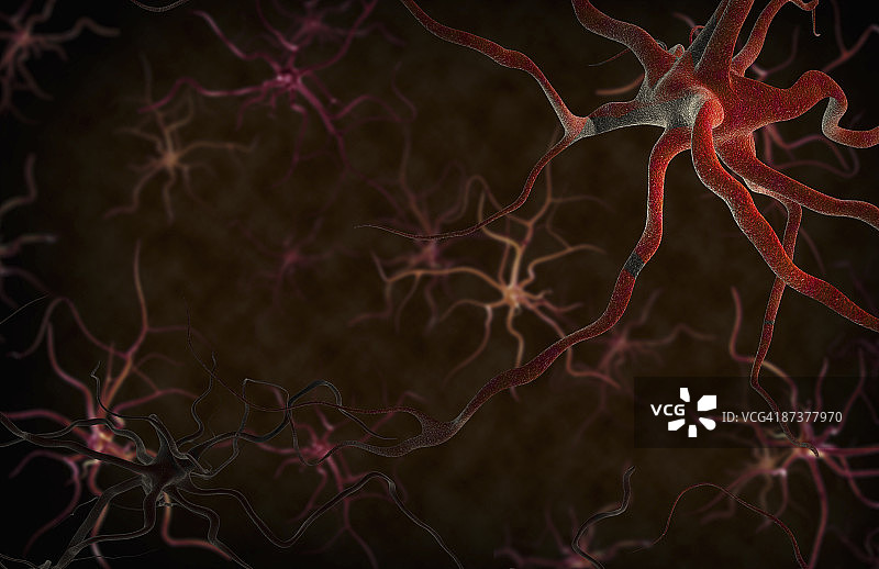 神经元图片素材