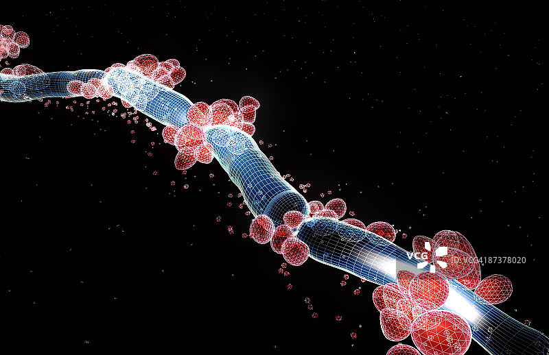白色念珠菌图片素材