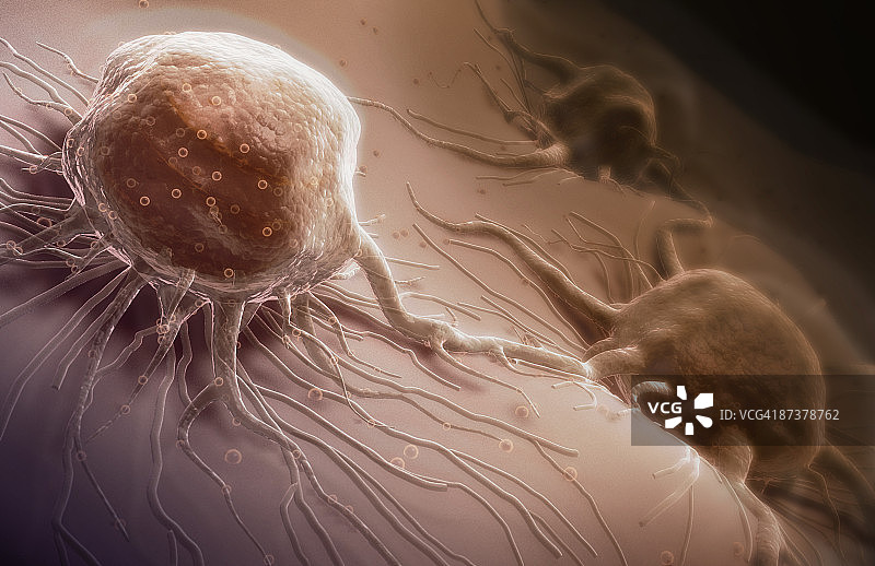 癌细胞图片素材