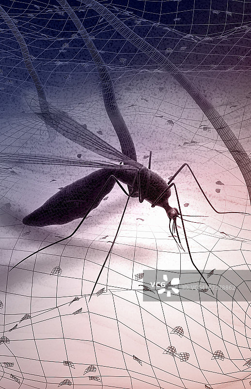 蚊虫叮咬图片素材