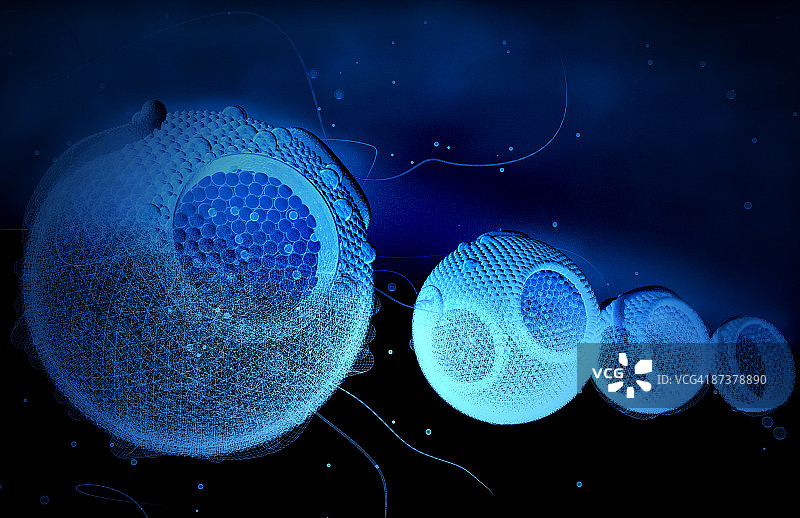 高密度脂蛋白图片素材