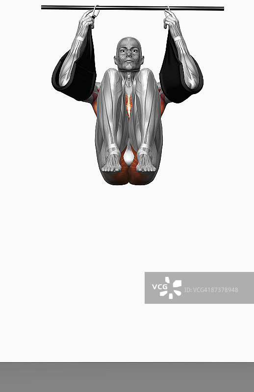 悬挂抬腿（1/2）图片素材