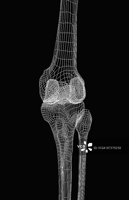 膝盖的骨骼图片素材