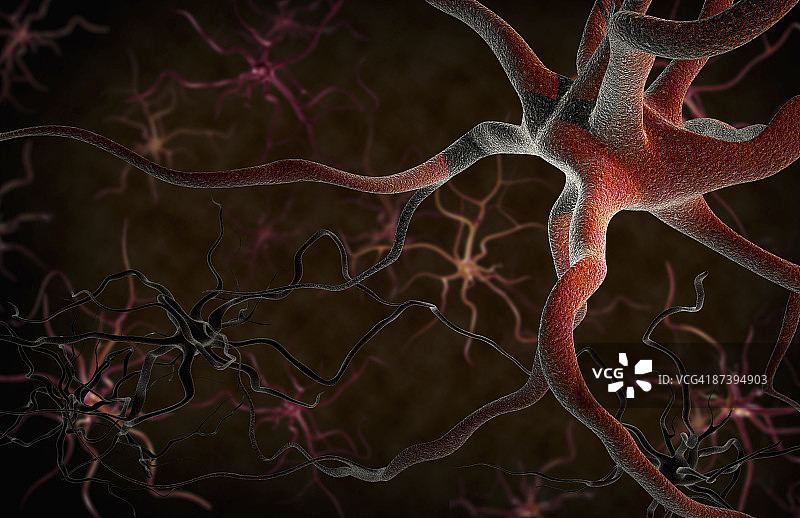 神经元图片素材