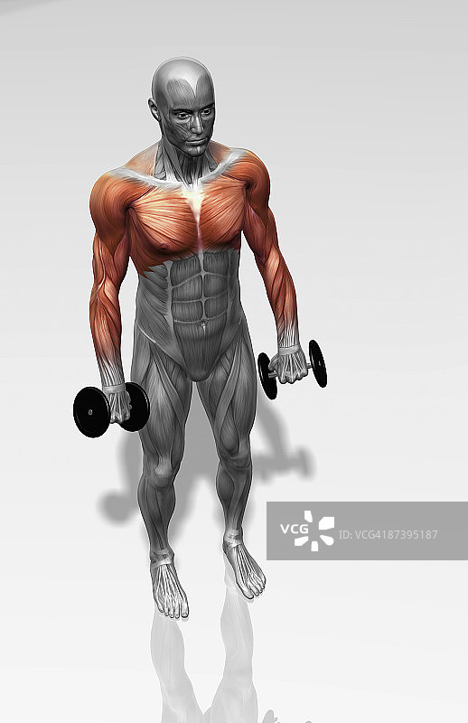 空罐练习（2之2）图片素材