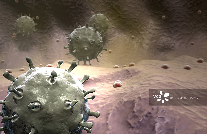 禽流感图片素材