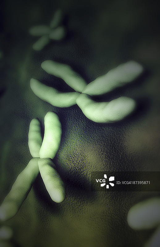 染色体图片素材