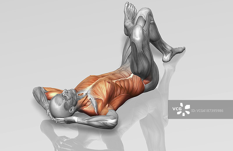交叉卷腹运动（二之二）图片素材