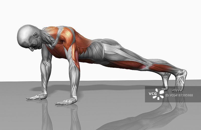 俯卧撑（二之二）图片素材