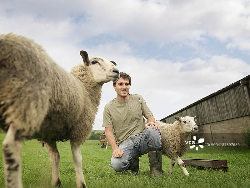 农民与绵羊图片素材
