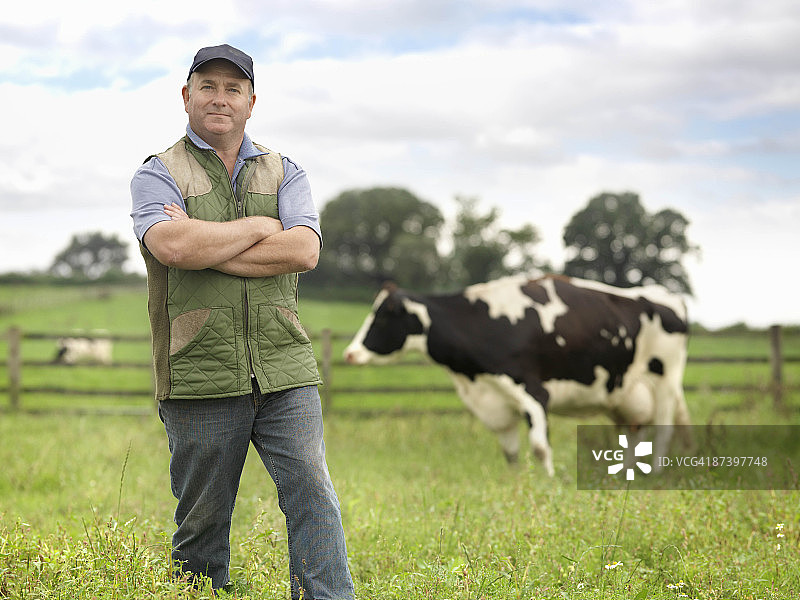 农民和地里的奶牛图片素材