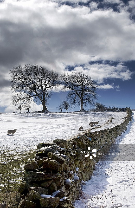 英国韦尔代尔雪地石围栏图片素材
