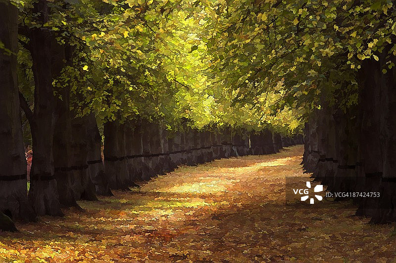 英国诺丁汉郡菩提树大道图片素材