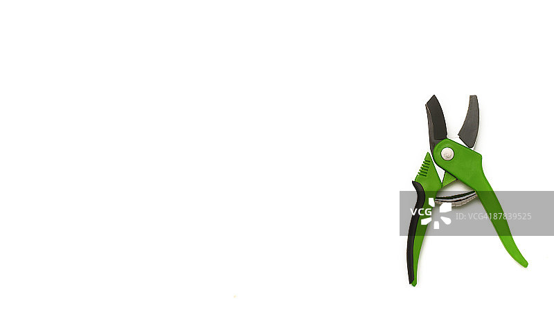 白色背景上的绿色园艺剪刀图片素材
