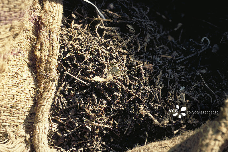 麻布袋中树枝特写图片素材