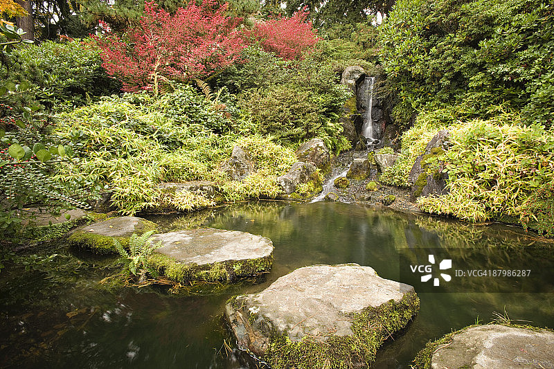 带瀑布和踏脚石的花园图片素材