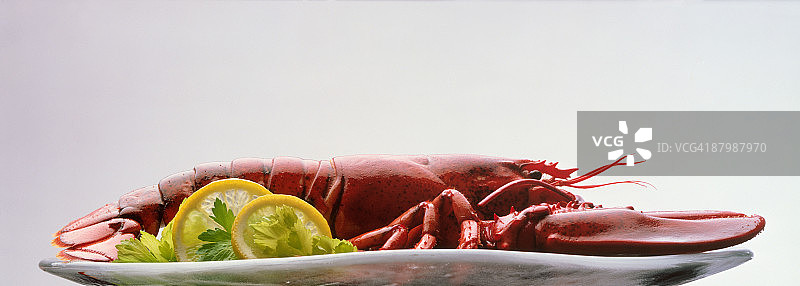 拼盘上的龙虾图片素材