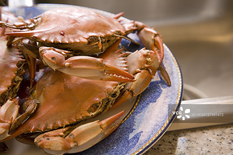 蓝色螃蟹图片素材