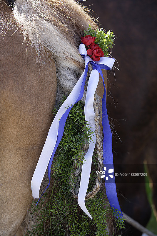 德国巴伐利亚州彭茨贝格尾巴上戴着装饰的马特写图片素材