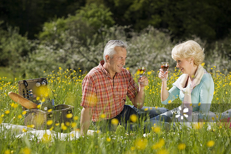 德国巴登-符腾堡州蒂宾根：老年夫妇野餐，举杯庆祝图片素材