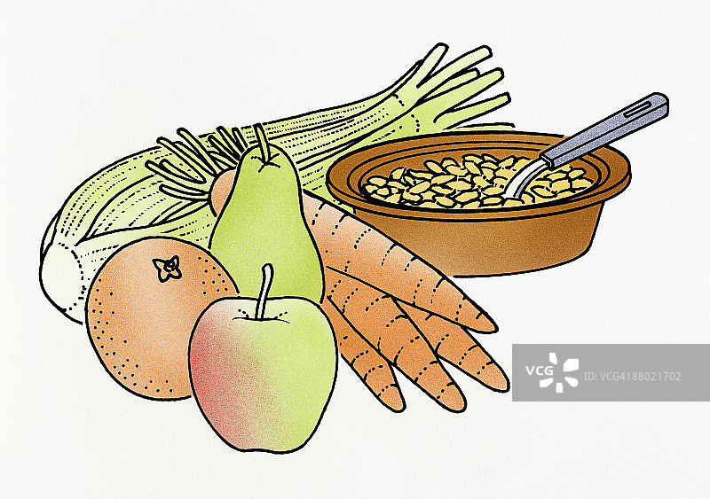 均衡饮食食材插画图片素材