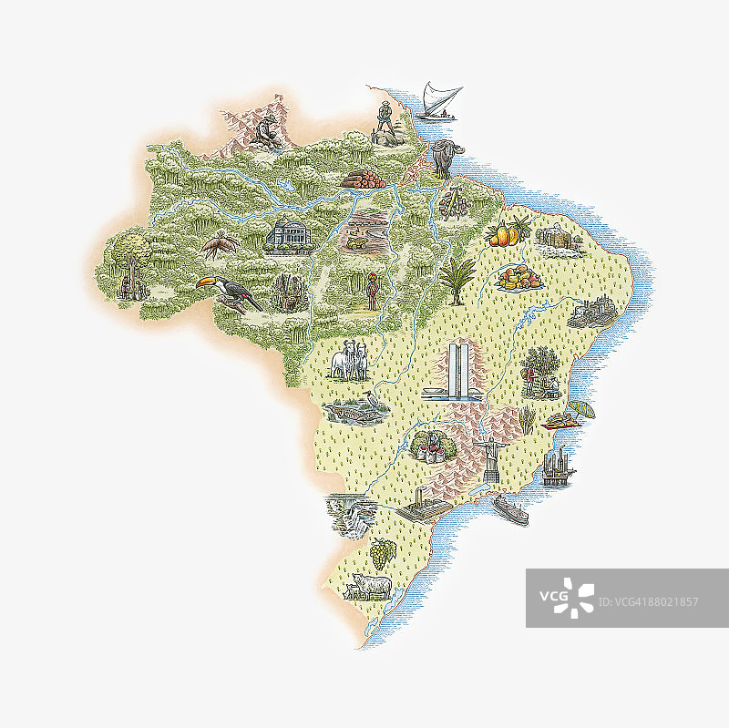 巴西工业、动植物插画图片素材